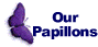 Our Papillons