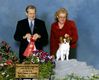 Filename=pagegrp20056.jpg
Filesize=361KB
Dimensions=2048x1658
Date added=Dec 14, 2008 pagegrp20056.jpg