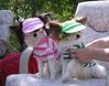 IMG_1804.JPG