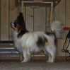 Filename=voodoo11mtsb.jpg
Filesize=114KB
Dimensions=944x941
Date added=Jan 06, 2009 voodoo11mtsb.jpg